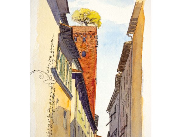 Torre Guinigi | Looking up at the tower with an oak tree growing from its top from a narrow street in Lucca